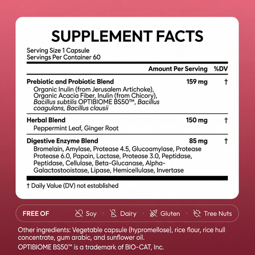 Digestive Enzymes